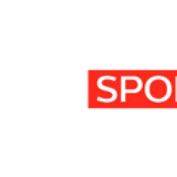News 24