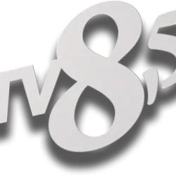 News 24